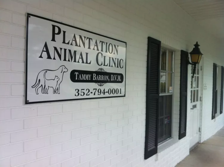 Plantation Animal Clinic, Florida, Crystal River
